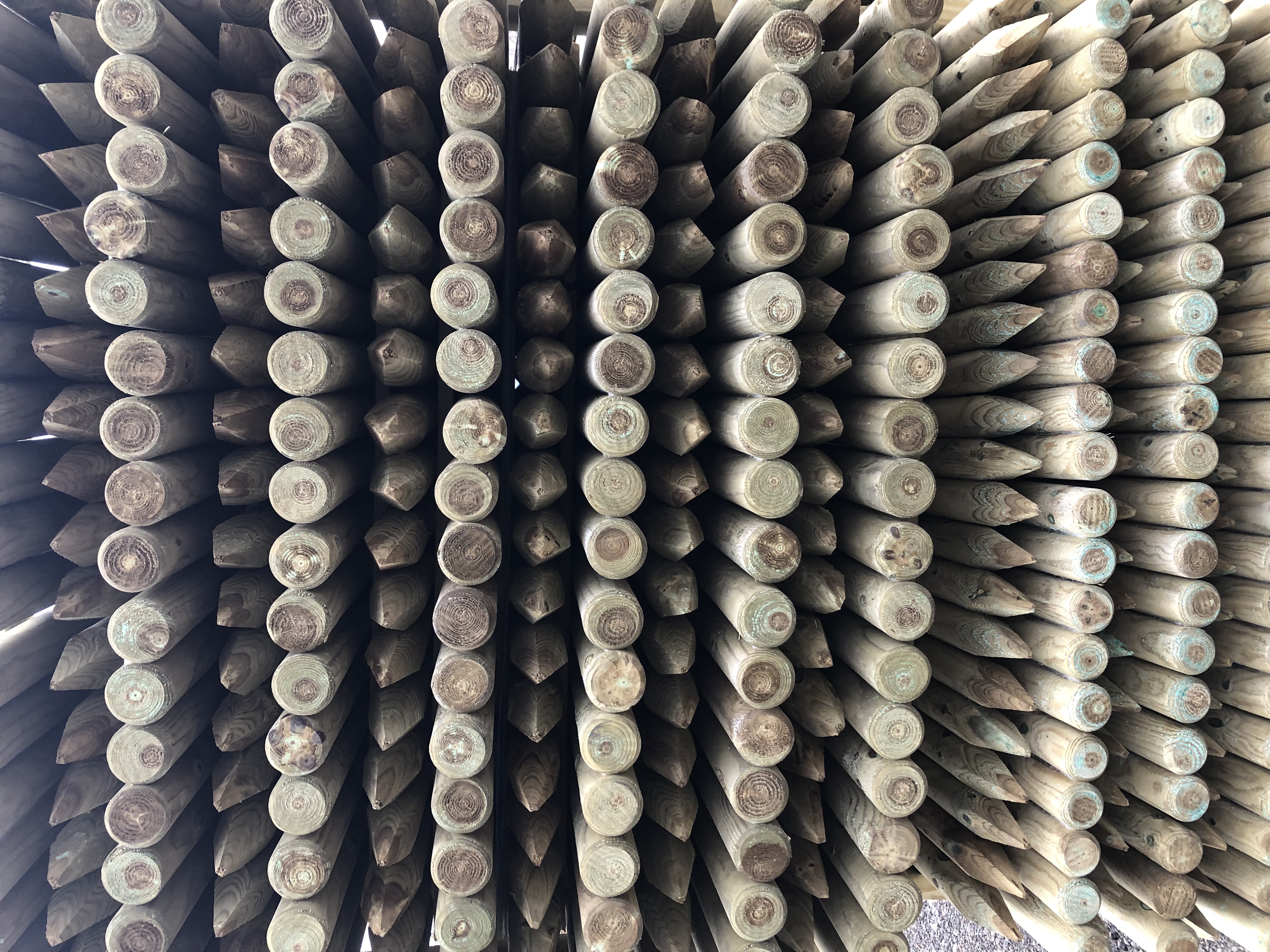 Yuvarlak 180cm ø5 kurutulmuş