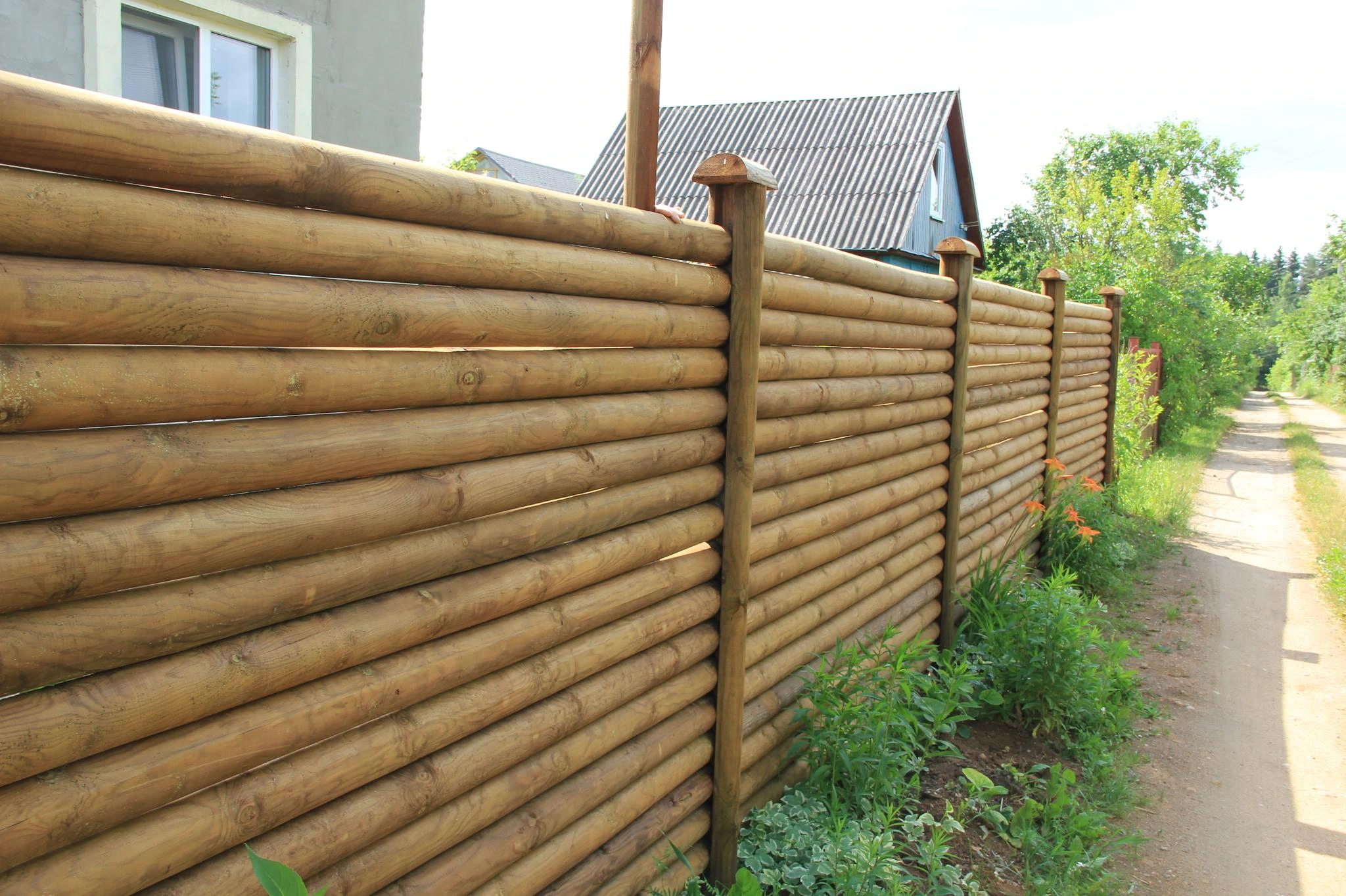 Yarım çit ø6 cm kurutulmuş (bm)