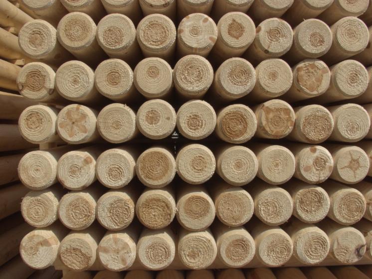 Palisade 400cm ø12 emprenyeli