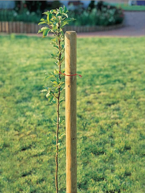 Yuvarlak 120cm ø5 kurutulmuş