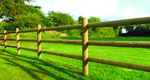 Palisade 250cm ø10 emprenyeli