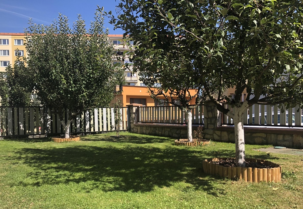 Ahşap çim ayırıcı Osfald ø6 30x250cm