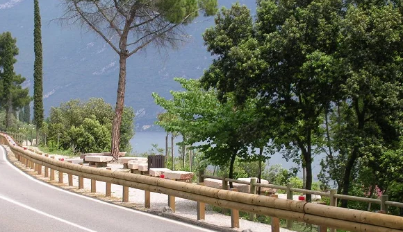 Palisade ø12 cm kurutulmuş (bm)