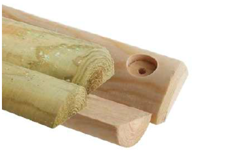 Yarım çit ø7 cm taze (bm)