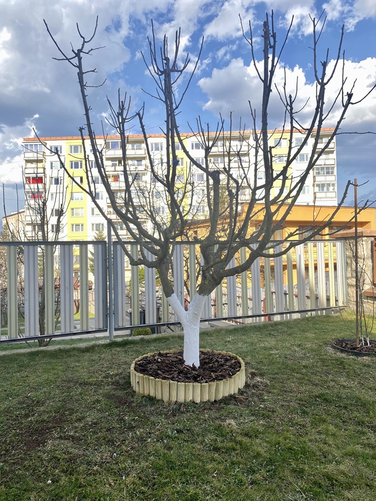 Ahşap çim ayırıcı Osfald ø6 30x250cm